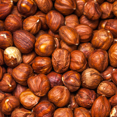 noisette.jpg
